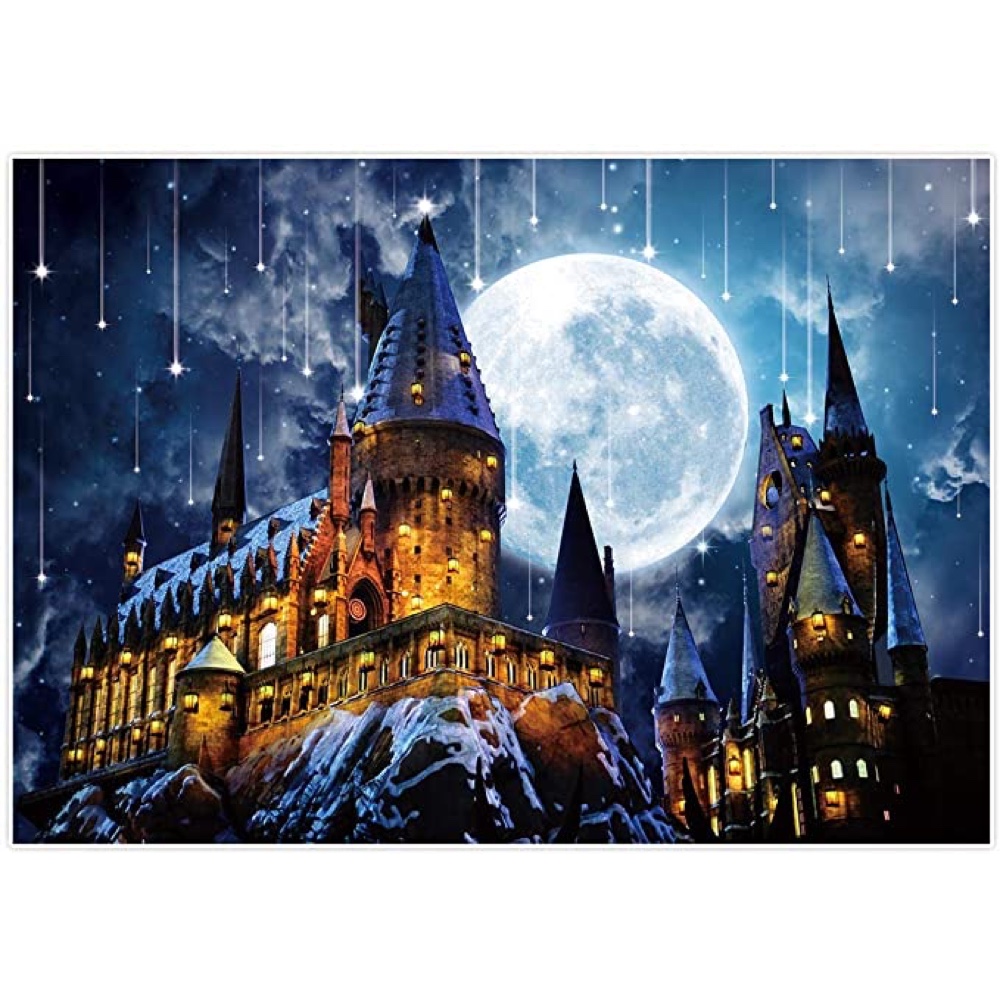 Harry Potter Themed Party - Hogwarts Birthday Party Ideas - Harry Potter Party Photo Backdrop