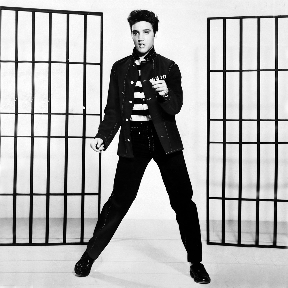 Elvis Themed Party - Rock 'n' Roll Party - Music Party - Party Decorations - Supplies - Costumes - Ideas - Elvis Music