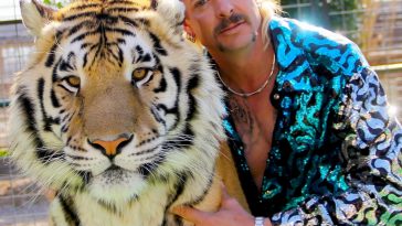 Tiger King Themed Party - Joe Exotic Theme Party - Birthday Party - Office Party - Ideas and Inspiration - Decorations - Party Supplies