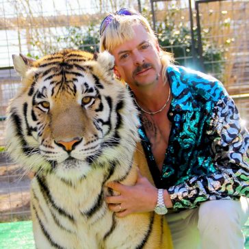 Tiger King Themed Party - Joe Exotic Theme Party - Birthday Party - Office Party - Ideas and Inspiration - Decorations - Party Supplies