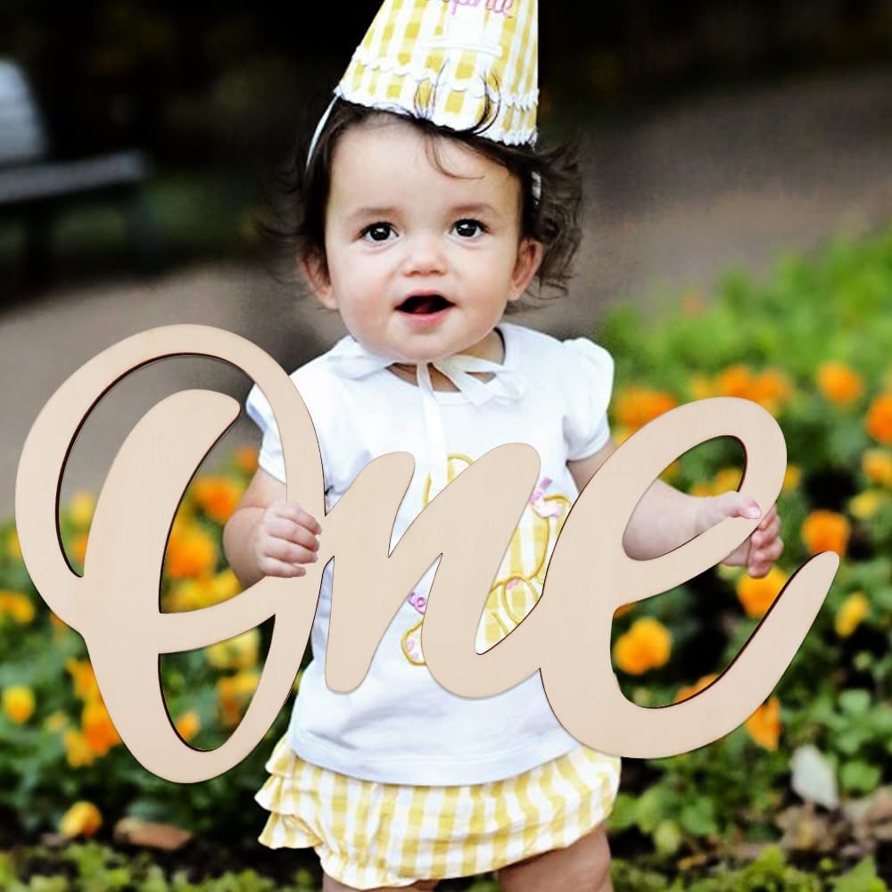 1st Birthday Party Decorations - Party Ideas - Supplies - Photo Props