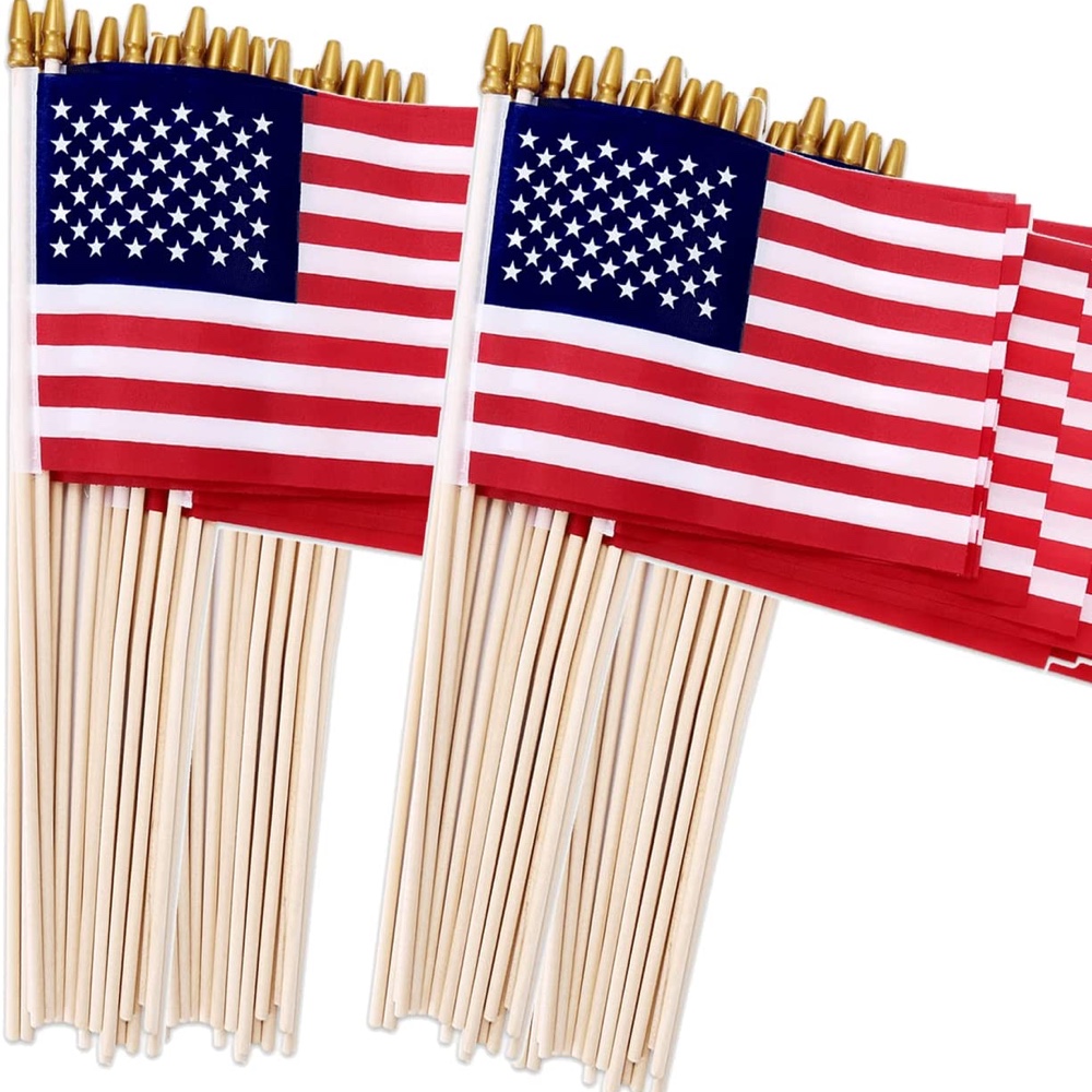 Memorial Day Themed Party - Party Decorations and Supplies - Ideas - Mini American Flags