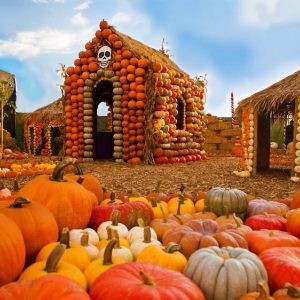 How to Throw a Pumpkin Patch Halloween Party - The Ultimate Guide - Decorations - Supplies - Food - Drink - Games - Ideas - Inspiration