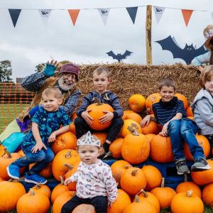 How to Throw a Pumpkin Patch Halloween Party - The Ultimate Guide - Decorations - Supplies - Food - Drink - Games - Ideas - Inspiration