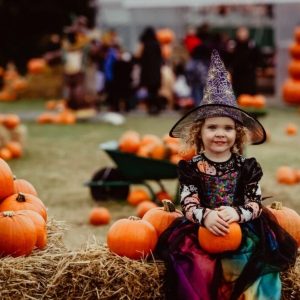 How to Throw a Pumpkin Patch Halloween Party - The Ultimate Guide - Decorations - Supplies - Food - Drink - Games - Ideas - Inspiration