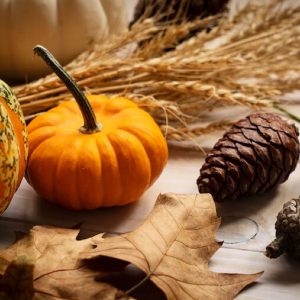 How to Throw a Thanksgiving Day Party - The Ultimate Guide - Decorations - Supplies - Food and Music and Games