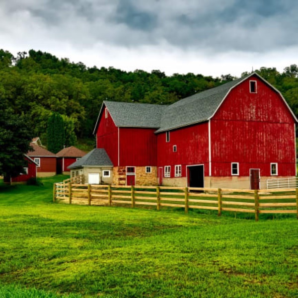 How to Throw a Barnyard Baby Shower - The Ultimate Guide - Decorations - Supplies - Food - Drink - Games - Ideas - Inspiration