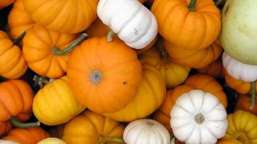 How to Throw a Little Pumpkin Baby Shower - The Ultimate Guide - Decorations - Supplies - Food - Drink - Games - Ideas - Inspiration