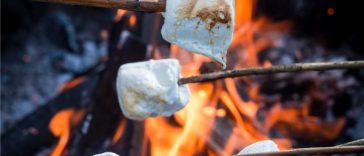 How to Throw a S'mores Baby Shower - The Ultimate Guide - Decorations - Supplies - Food - Drink - Games - Ideas - Inspiration