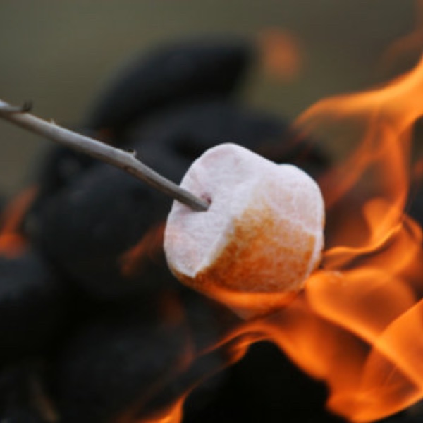 How to Throw a S'mores Baby Shower - The Ultimate Guide - Decorations - Supplies - Food - Drink - Games - Ideas - Inspiration