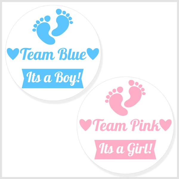 23 Unforgettable Gender Reveal Themes - Team Blue, Team Pink Gender Reveal Party