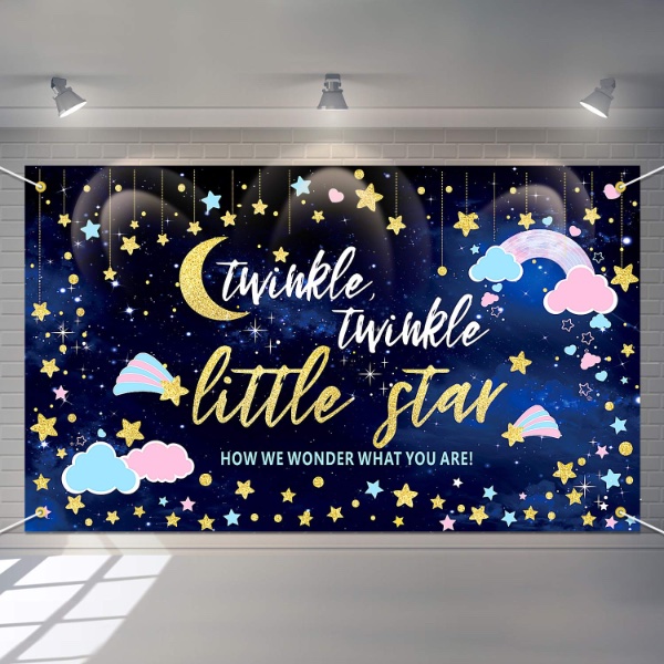 23 Unforgettable Gender Reveal Themes - Twinkle Twinkle Little Star Gender Reveal Party